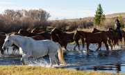 D7A8580