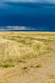 D7A8782-Edit