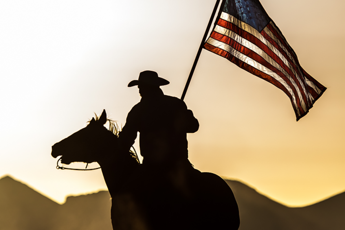 David Stoecklein Tribute